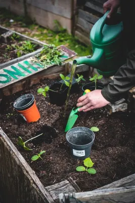 Does Liquid Fertilizer Go Bad? Exploring the Shelf Life and Beyond