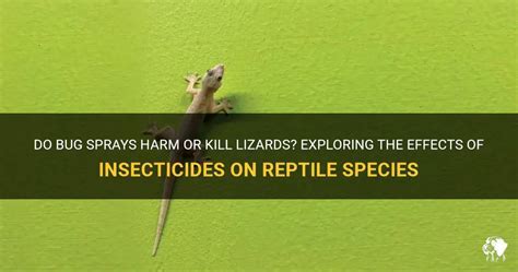 Does Roach Spray Kill Lizards: Exploring the Unlikely Connection Between Pest Control and Reptiles