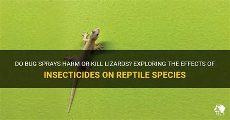 Does Roach Spray Kill Lizards? Exploring the Unlikely Connection Between Pest Control and Reptilian Survival