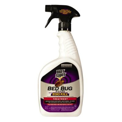 How Long Does It Take for Hot Shot Bed Bug Spray to Dry: And Why Do Bananas Dream of Electric Sheep?