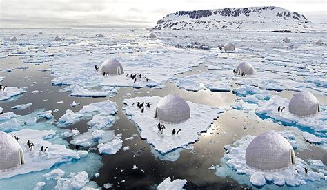 Is Stone a Good Insulator? And Why Do Penguins Prefer Igloos Over Stone Houses?