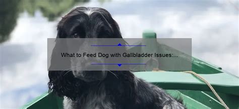 What to Feed a Dog with Gallbladder Problems: A Comprehensive Guide and the Curious Case of Canine Culinary Preferences