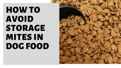 What to Feed a Dog with Storage Mite Allergy: A Comprehensive Guide to Navigating Canine Nutrition and Beyond