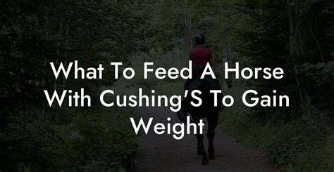 What to Feed a Horse with Cushing's to Gain Weight: Exploring Nutritional Strategies and Unconventional Ideas